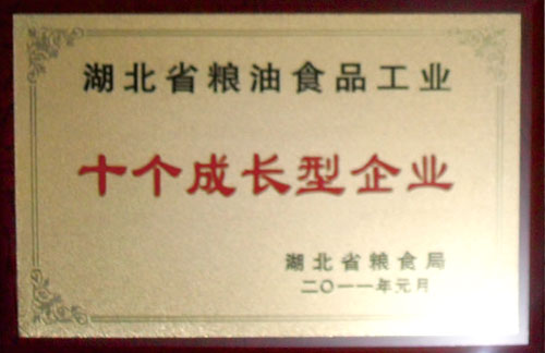 十個(gè)成長型企業(yè)